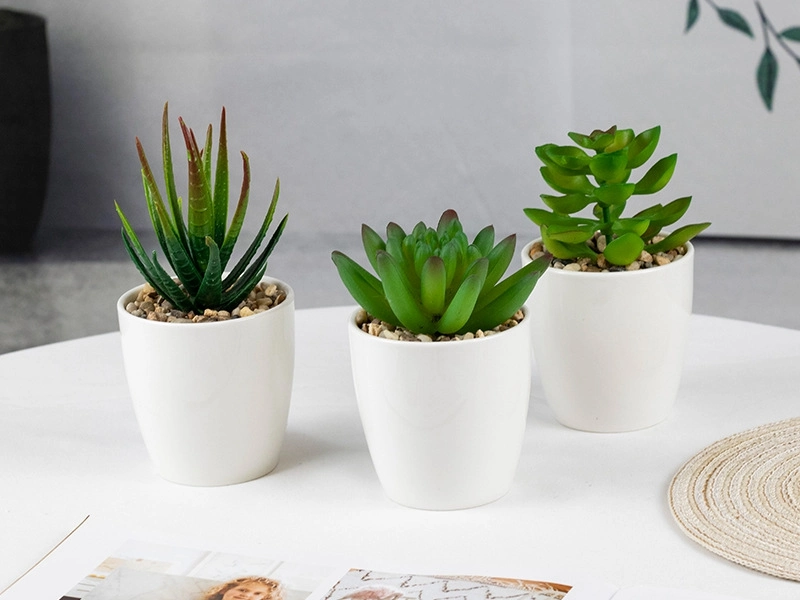 Set of 3 Artificial Succulents Desk Faux Succulents in Pots