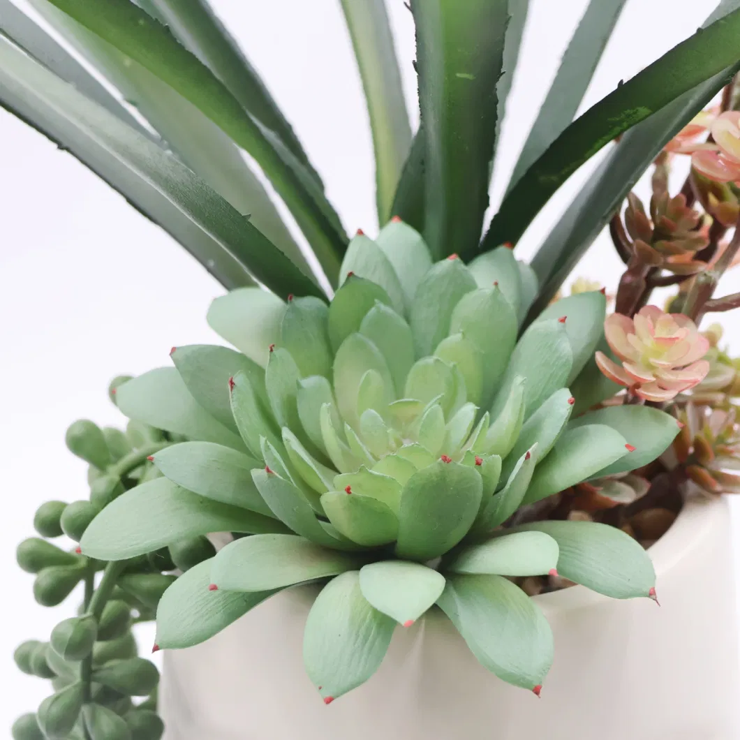 Mini Plastic Artificial Succulent Plants Green Plants with Special Pot Home Decorative