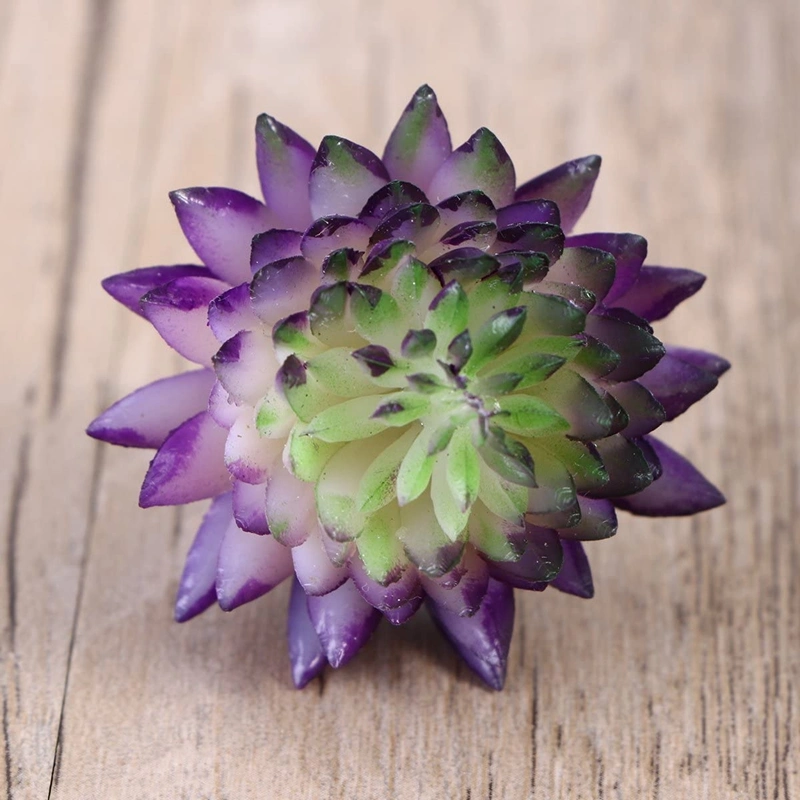 Artificial Succulent Lifelike Small Simulation Plastic DIY Unpotted Succulent Plants