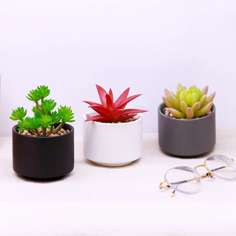 Artificial Plants Mini Succulent Flowers in Ceramics Pot