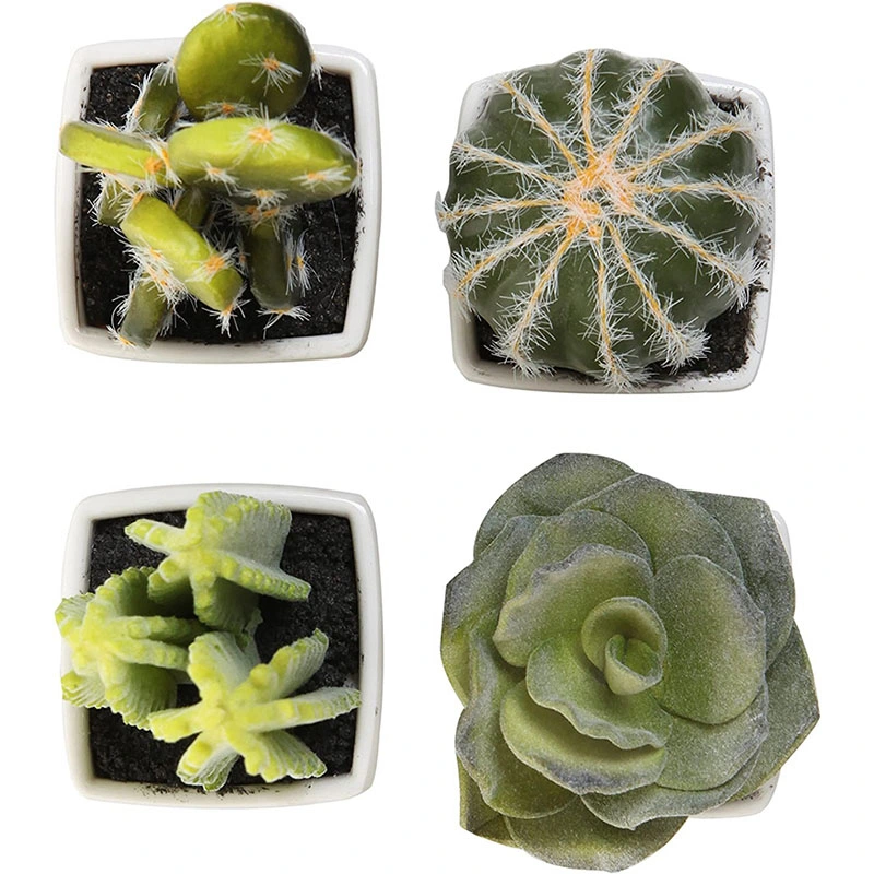 Set of 4 Assorted Miniature Artificial Succulent &amp; Cactus in Pots