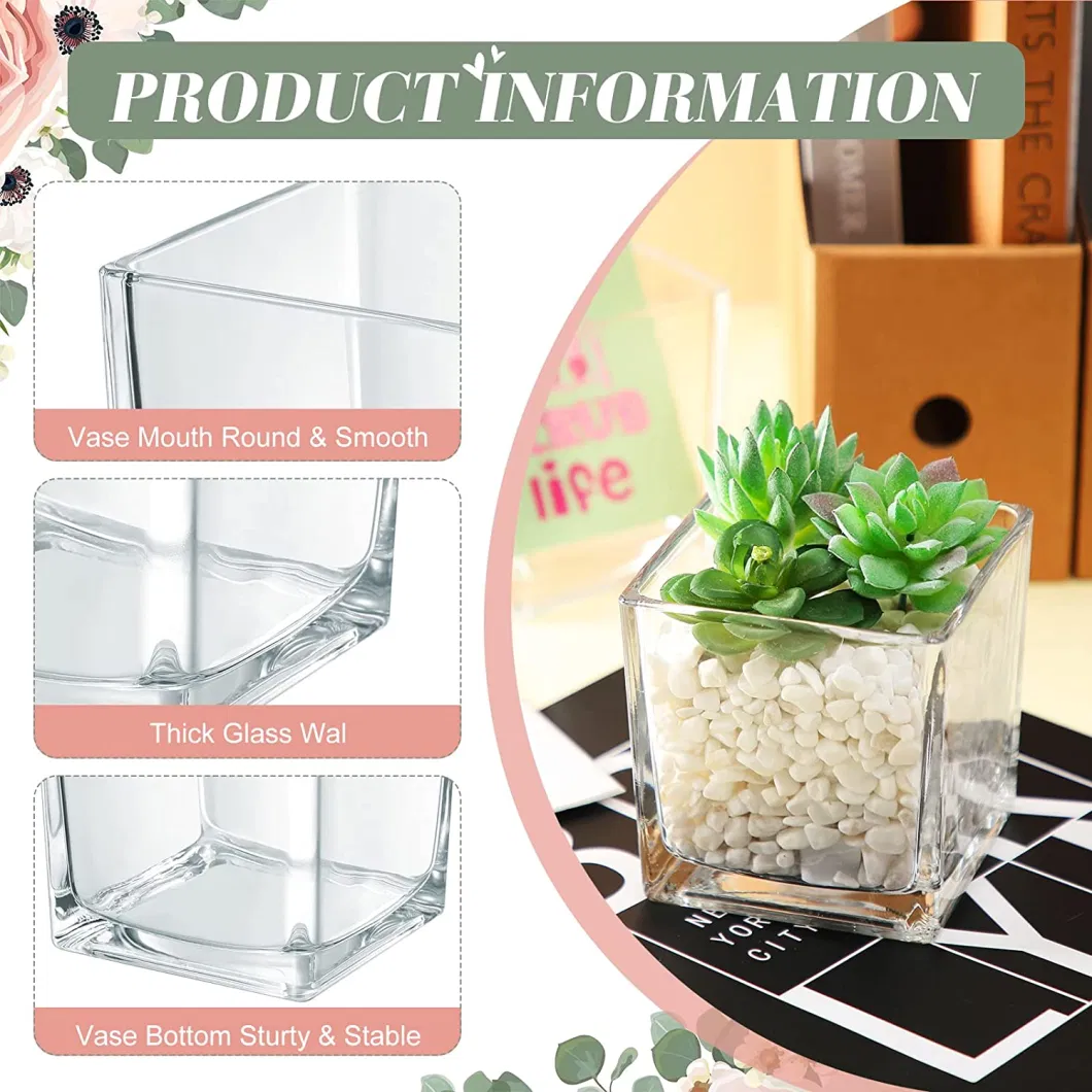 Square Glass Cube Vases Bulk Clear Small Flower Vase Centerpiece Candle Tealight Holder Cubic Succulent Plant Terrarium Crystal Jar for Party Wedding Decoration