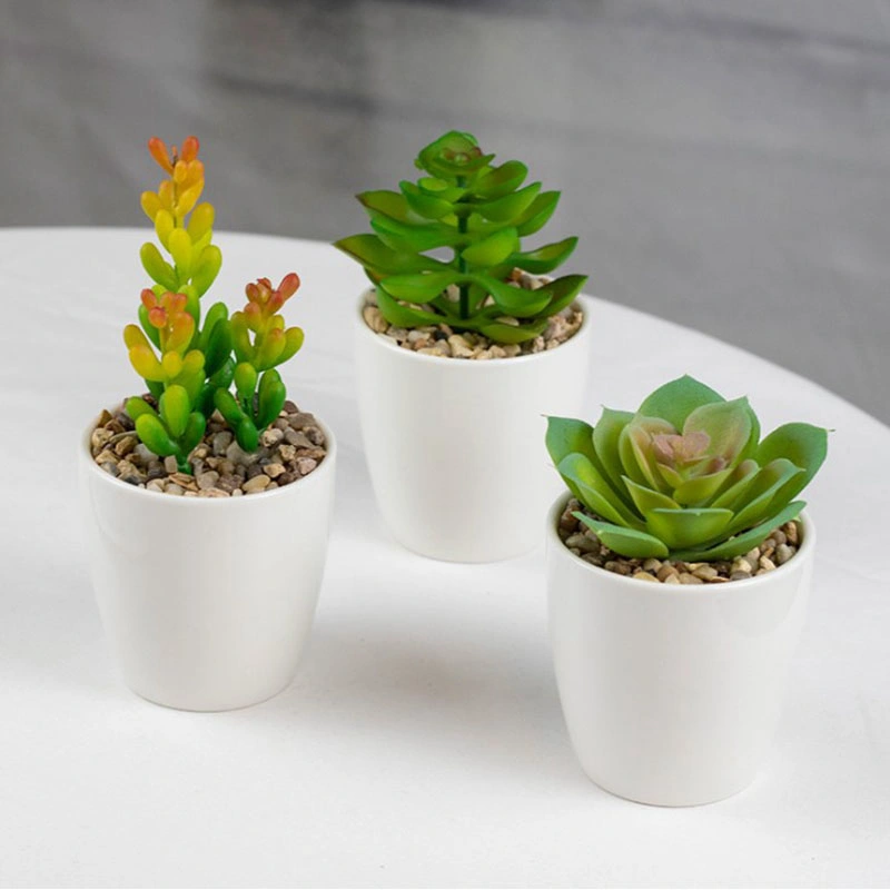 Set of 3 Artificial Succulents Desk Faux Succulents in Pots