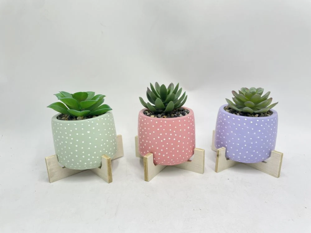 Potted Faux Succulent with Wood Base