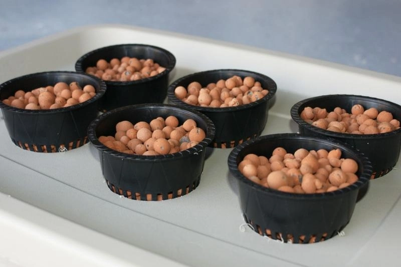 Hydroponics Expanded Clay Hydroton Clay Pebbles Clay Pellets Clay Balls Leca