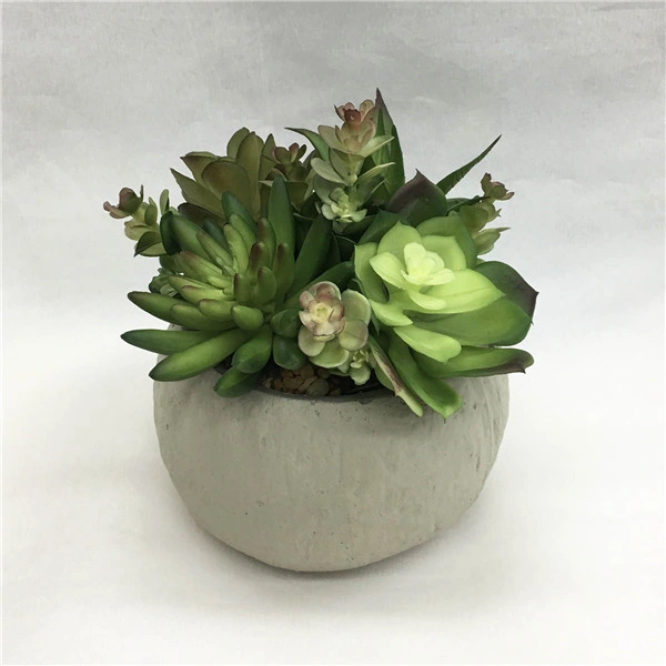 Artificial Pineapple Leaf Mini Succulent Plants