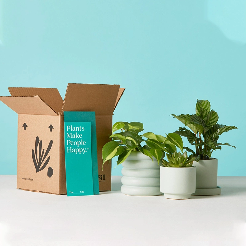 Fpg Custom Succulent Packaging Live Cardboard Plants Shipping Box