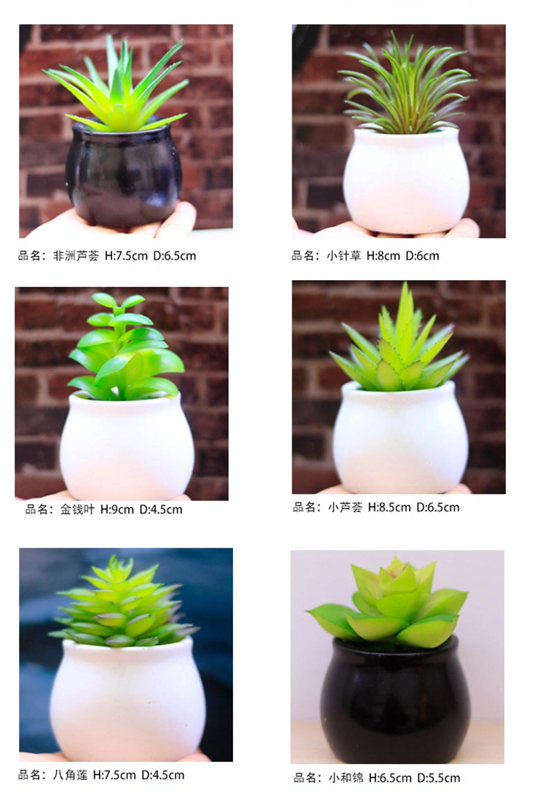 Mini Artificial Succulent Plants in Ceramics Planter Pots