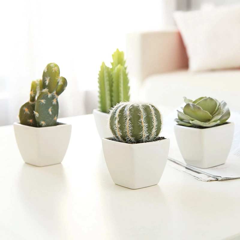 Set of 4 Assorted Miniature Artificial Succulent &amp; Cactus in Pots