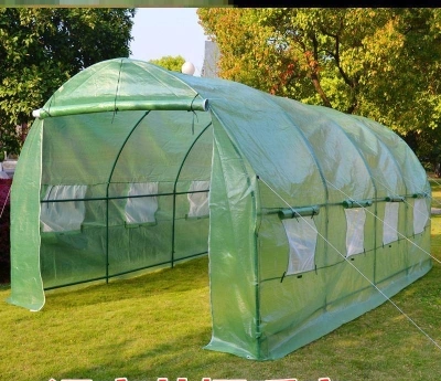 6m X 3mtunnel Type and Succulent Flower Plant Sun Room, Family Garden Greenhouse