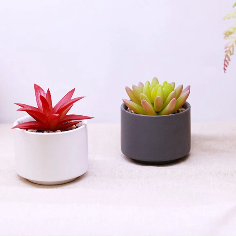 Artificial Plants Mini Succulent Flowers in Ceramics Pot