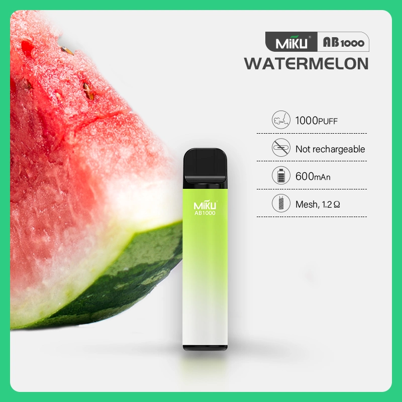 Newest Customizable Pre-Filled Salt Nic Disposable Vape - OEM, Fruit Flavors, 1000 Puffs