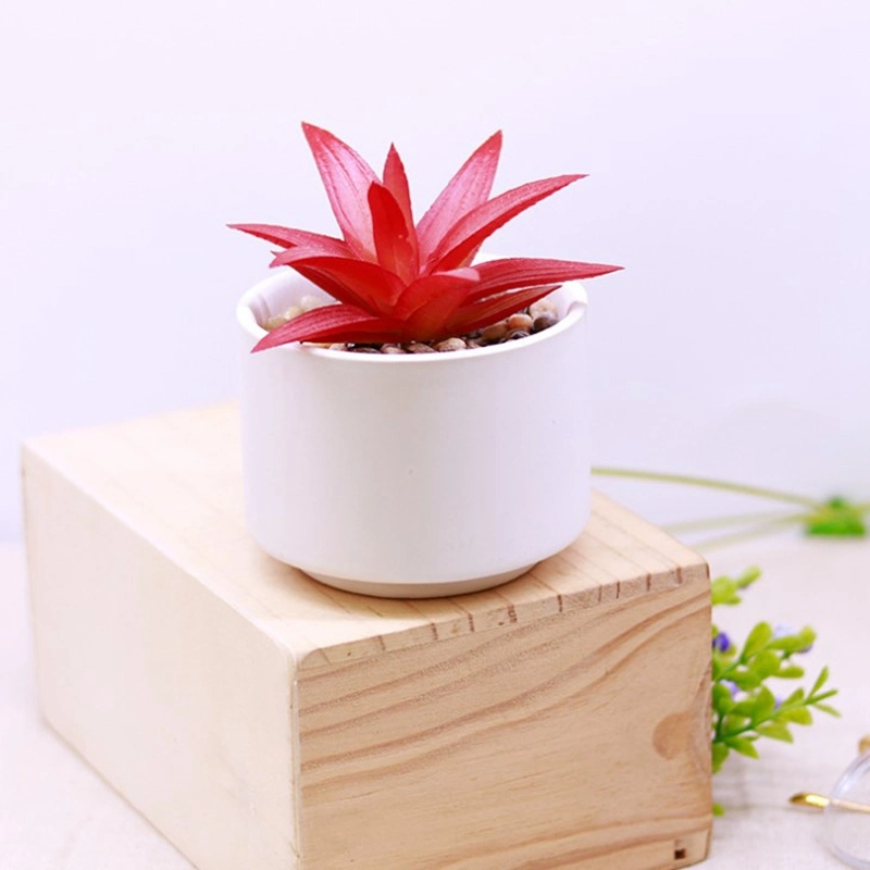 Artificial Plants Mini Succulent Flowers in Ceramics Pot