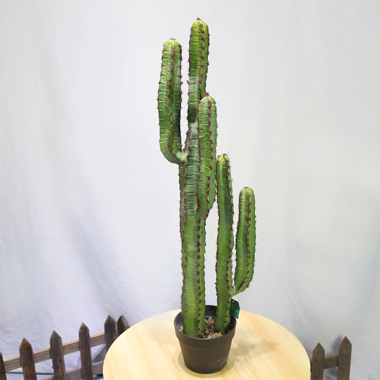 New Style Plastic Saguaro Cactus Buy Artificial Cactus Plant at Toronto Cactus and Succulent Club