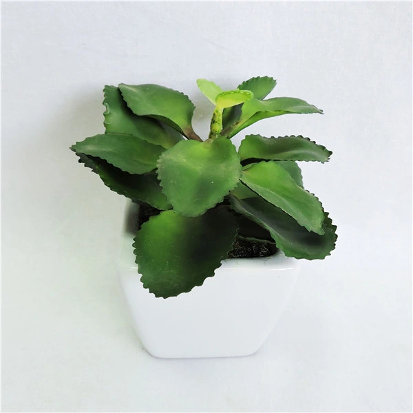 Artificial Pineapple Leaf Mini Succulent Plants