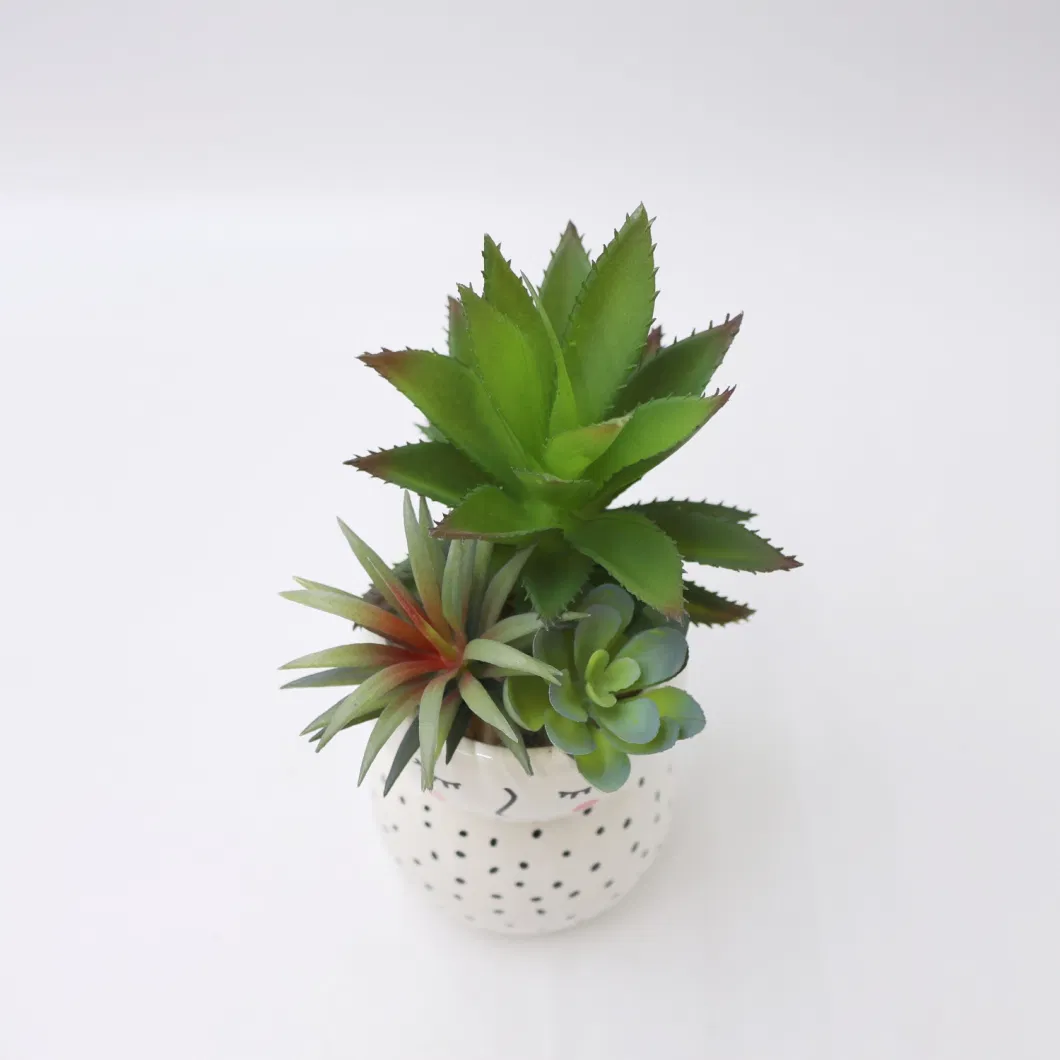 Hot Sales Succulent Plants Wholesale Artificial Plants Succulent for Home Decor