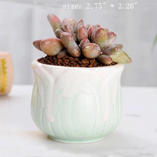 Wholesale Ceramic Mini Plant Pot Cactus Plant Pot Flower Pot