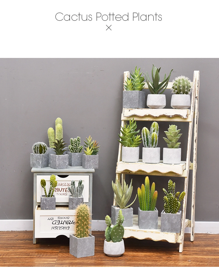 Artificial Succulent Cactus Faked Air Plants with Gray Pots for Desktop