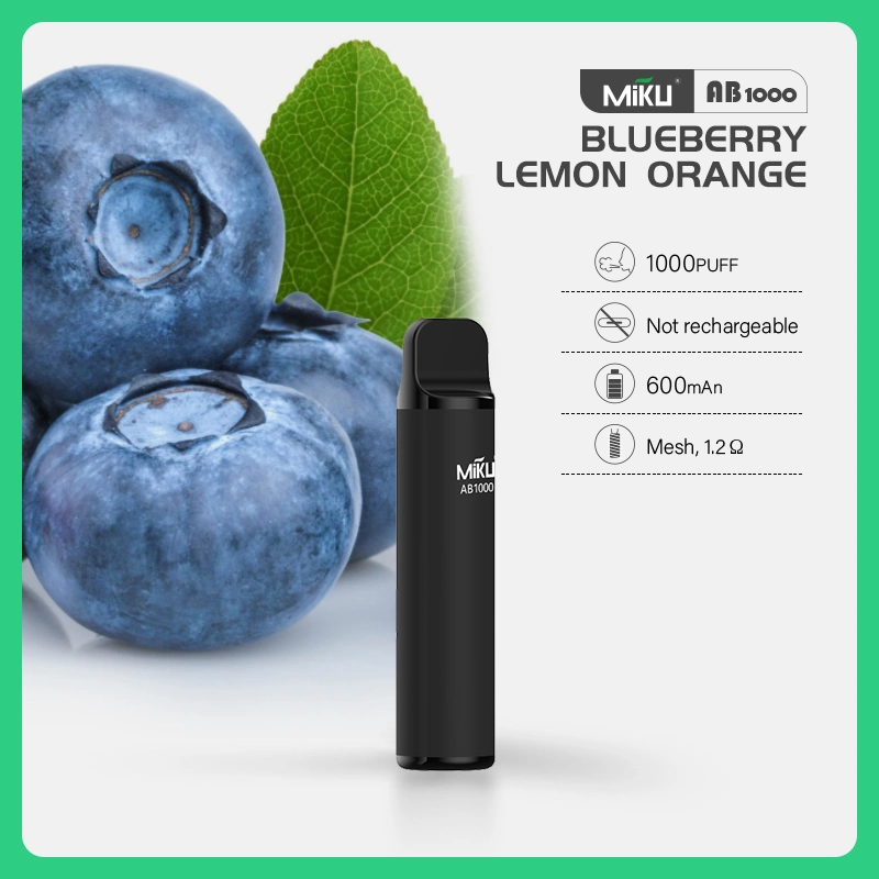 Newest Customizable Pre-Filled Salt Nic Disposable Vape - OEM, Fruit Flavors, 1000 Puffs