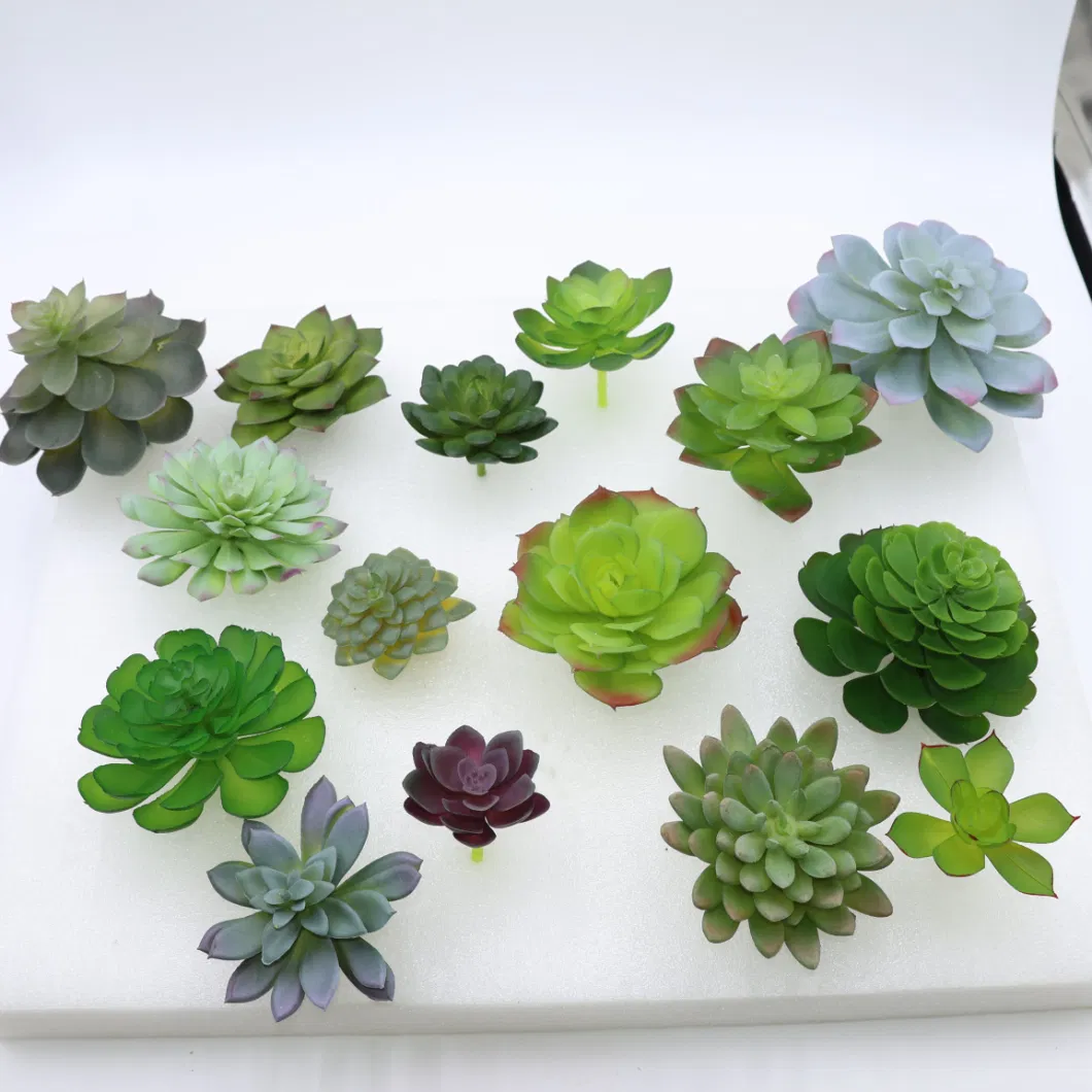 Mini Succulents Plants New Colorful Plastic Succulent Stem Decorative for Garden