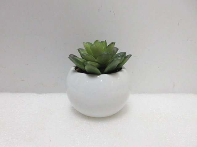 Realistic Decorative Artificial Small Potted Plants Wholesale Fake Plants Succulent