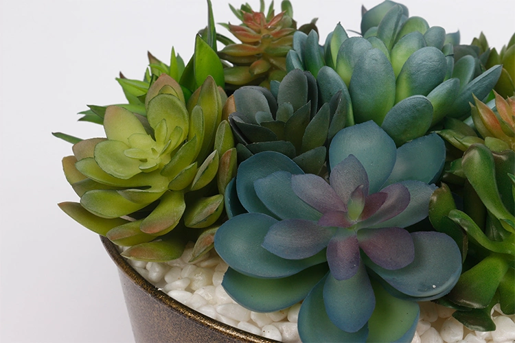 Arrangement Artificial Succulent Plants with Iron Pots Succulent Flower Pot for Home Hotel Decoration