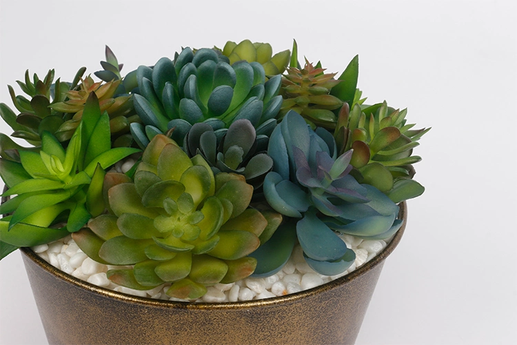 Arrangement Artificial Succulent Plants with Iron Pots Succulent Flower Pot for Home Hotel Decoration