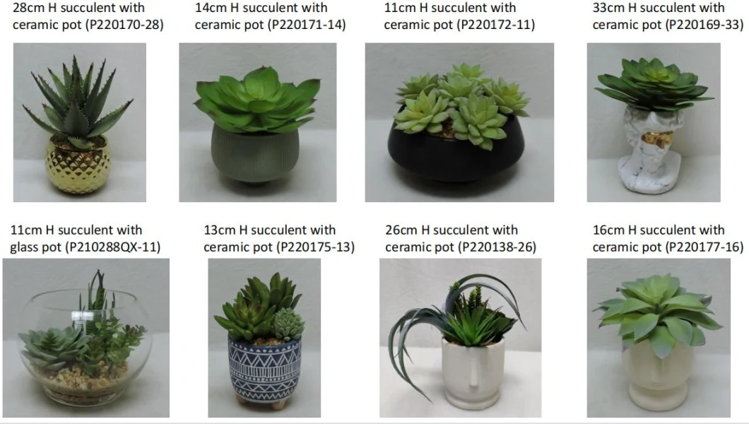 Mini Size Articicial Succulent with Elephant Effect Ceramic Pot