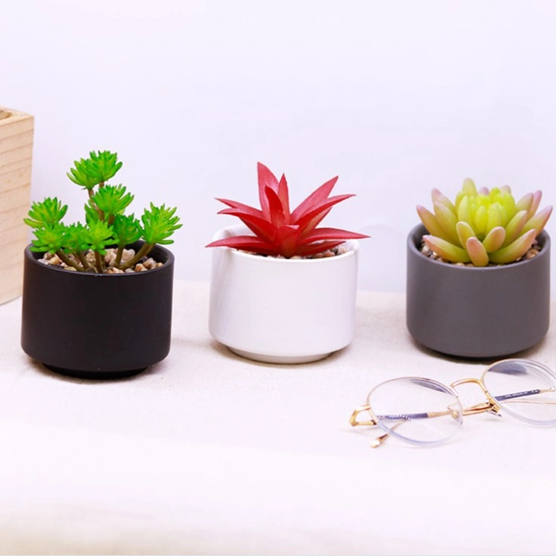 Artificial Plants Mini Succulent Flowers in Ceramics Pot