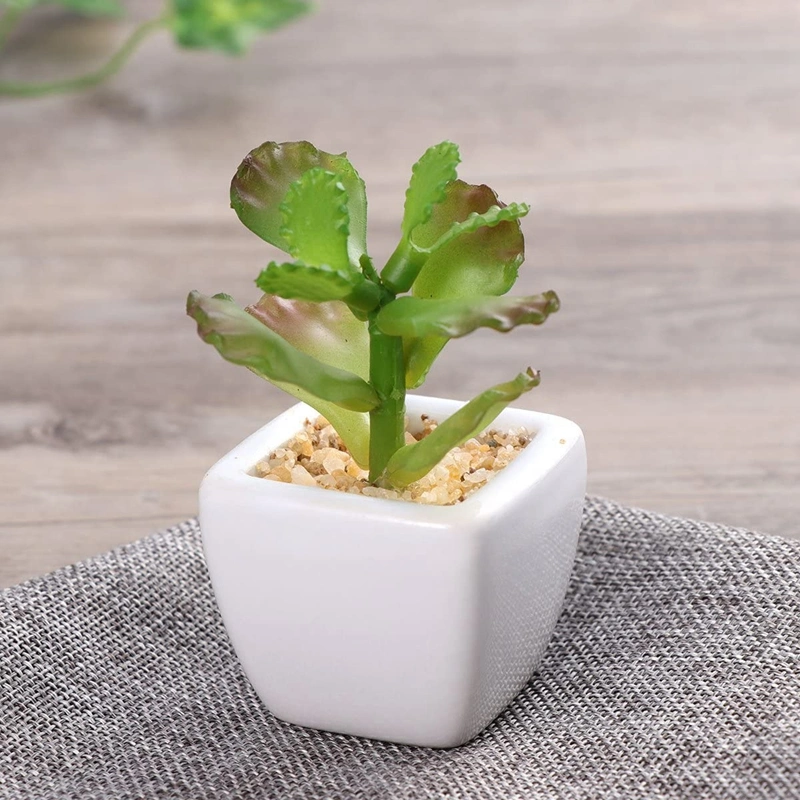 Artificial Succulent Plants Potted Fake Mini Assorted Succulents Planters Set for Decor Arrangement (White Ceramic Pots4Pack)