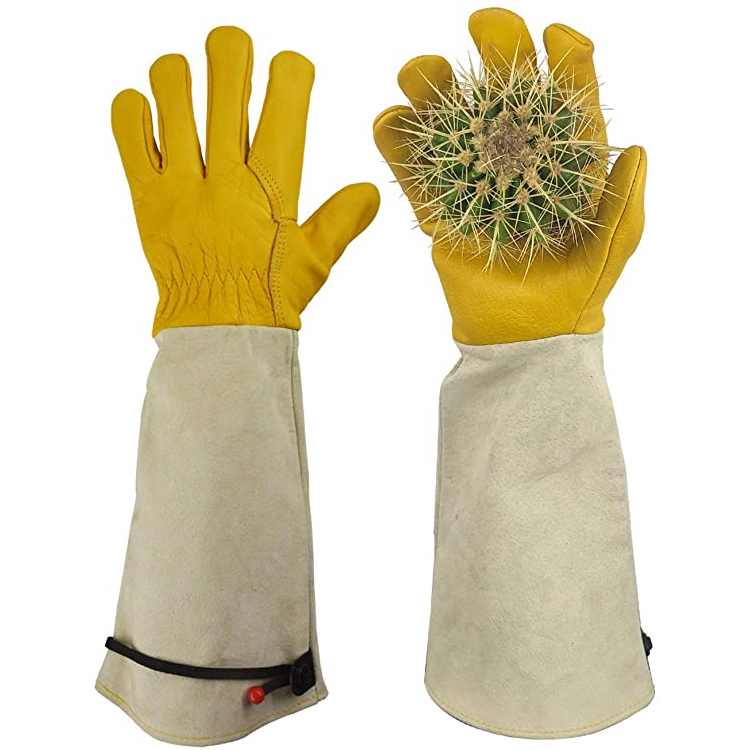 Thornproof Good Dexterity Rose Pruning Cacti Handling Thorn Proof Gardening Cactus Gloves