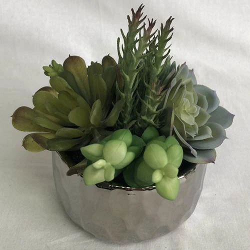 15cm High Quality Plastic Artificial Plant Succulent for Home Decoration