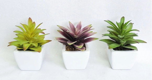 Artificial Pineapple Leaf Mini Succulent Plants