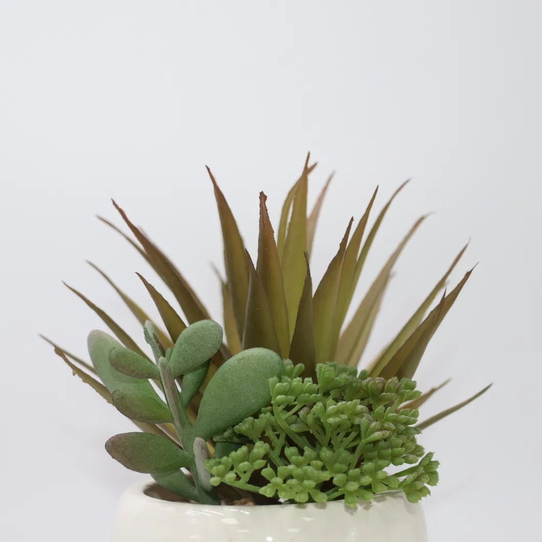 Wholesale Simulation Lifelike Real Touch Various Succulent Plants Artificial Soft Plastic Succulents