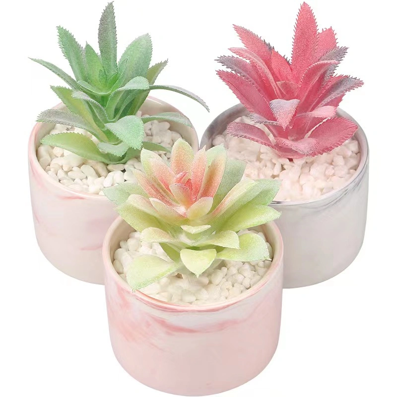 Wholesale Lifelike Real Touch Plastic Preserved Artificial Succulent Plants Tropical Plants