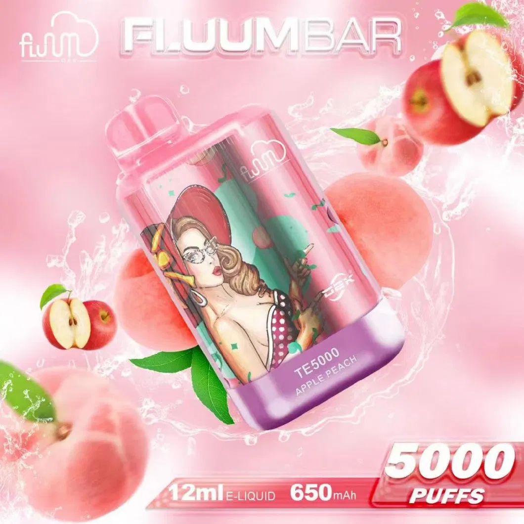 Fluum Bar Te 5000 Bc5000 Ultra for OEM 13ml E-Juicy up to 5000puffs Wholesale Price Disposable Vape