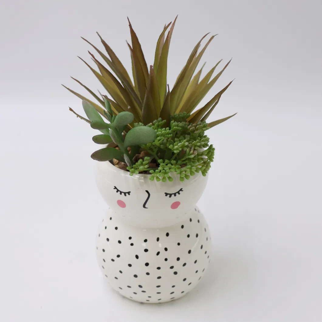 Wholesale Simulation Lifelike Real Touch Various Succulent Plants Artificial Soft Plastic Succulents