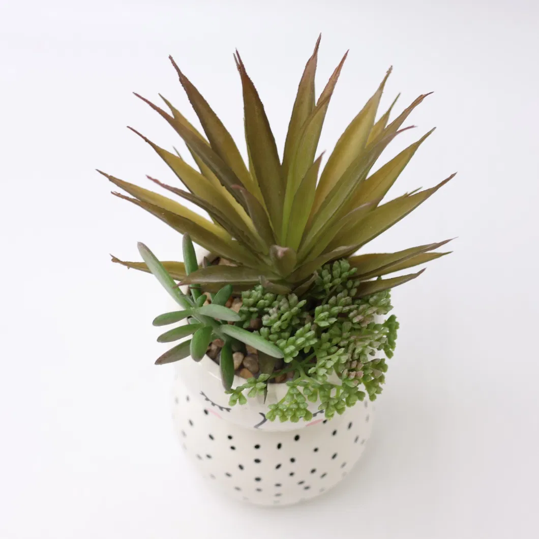 Wholesale Simulation Lifelike Real Touch Various Succulent Plants Artificial Soft Plastic Succulents