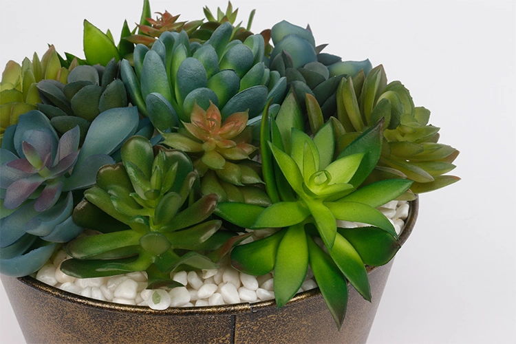 Arrangement Artificial Succulent Plants with Iron Pots Succulent Flower Pot for Home Hotel Decoration