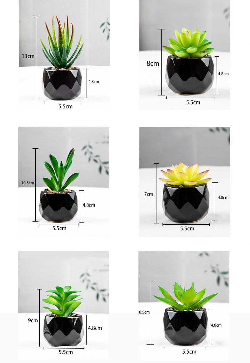 Mini Artificial Succulent Plants in Black Geometric Ceramic Planter Pots