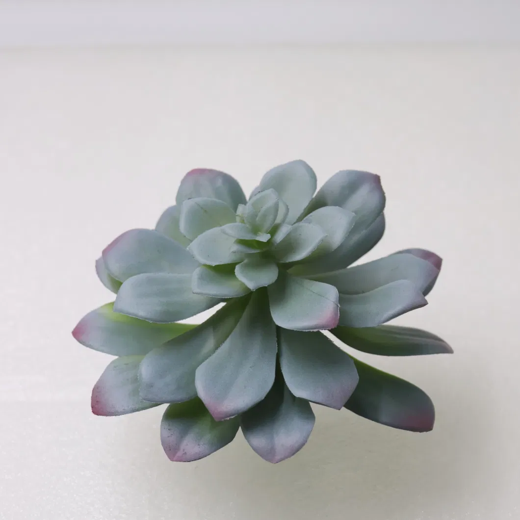 Mini Succulents Plants New Colorful Plastic Succulent Stem Decorative for Garden