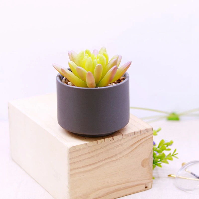 Artificial Plants Mini Succulent Flowers in Ceramics Pot