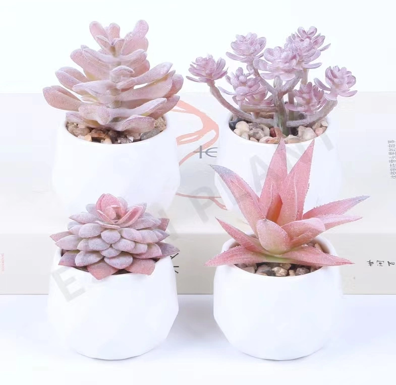 Small Mini Plastic PVC Artificial Succulents Faux Plants for Home Decoration