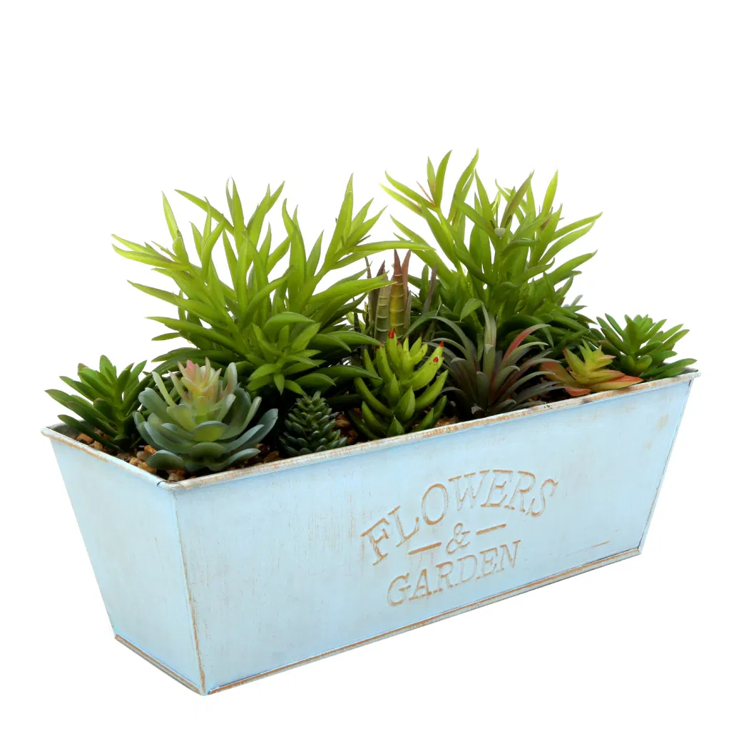 Manufacturer Wholesale Home Decoration Mini Artificial Cactus Succulent Plants with Pot