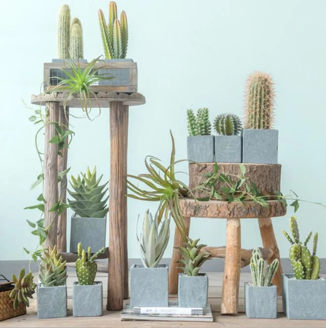 23cm High Decoration Mini Cactus in Plasic Pot-P5205-23