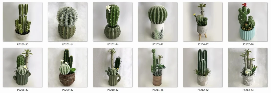 23cm High Decoration Mini Cactus in Plasic Pot-P5205-23