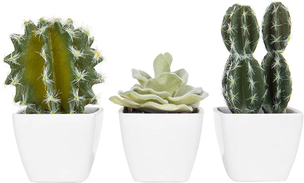 5-Inch Decoration Plant Mini Assorted Artificial Cactus Plants, Faux Cacti Assortment in Square White Pots, Set of 4 or Can Mix by Yourself for Home Decoration