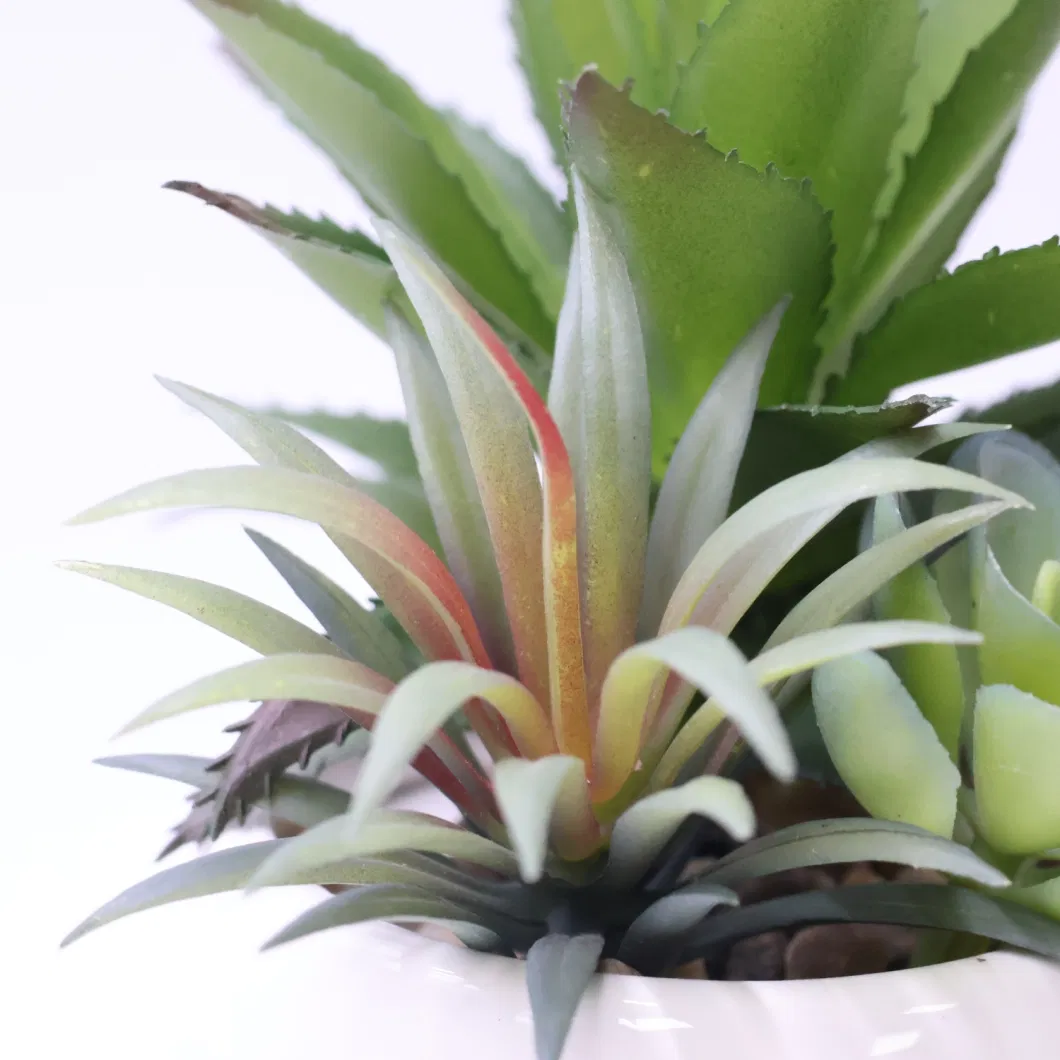 Hot Sales Succulent Plants Wholesale Artificial Plants Succulent for Home Decor