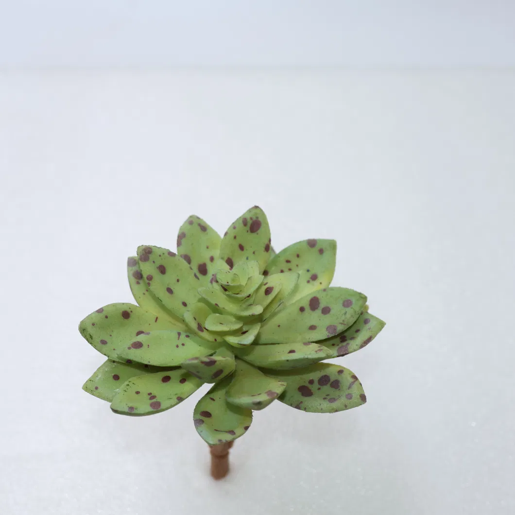 Mini Succulents Plants New Colorful Plastic Succulent Stem Decorative for Garden