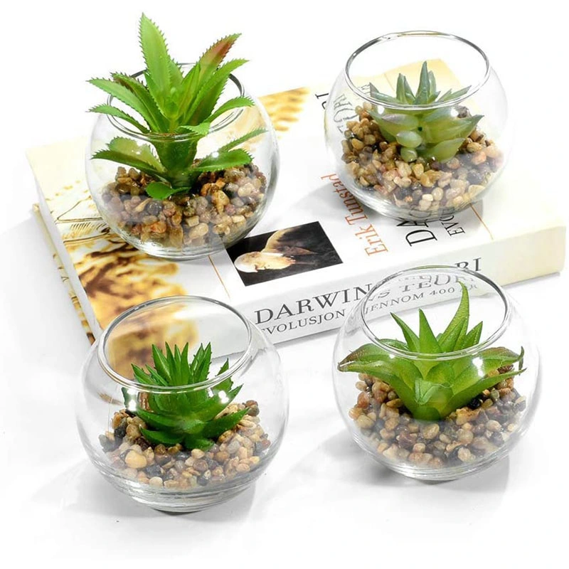 Set of 4 Decorative Mini Modern Design Clear Round Artificial Succulent Plant Glass Display Vases